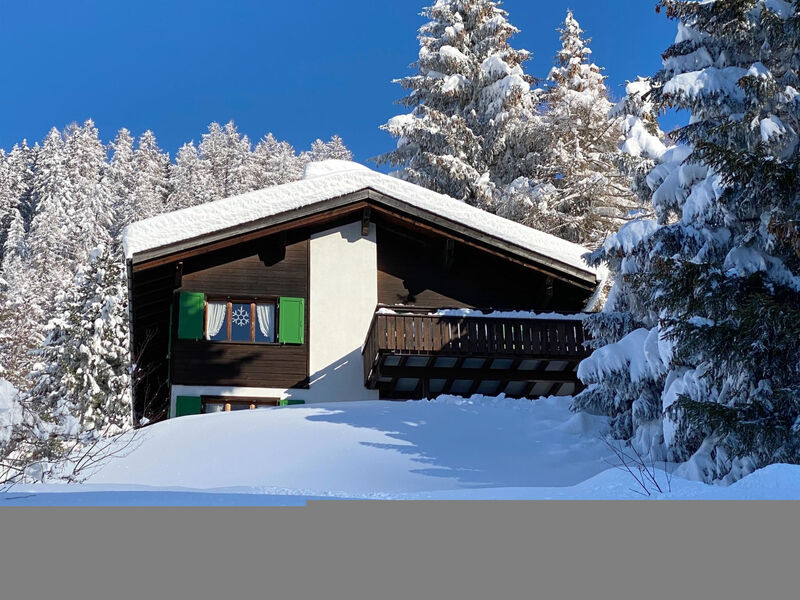 Ferienwohnung Riedblick