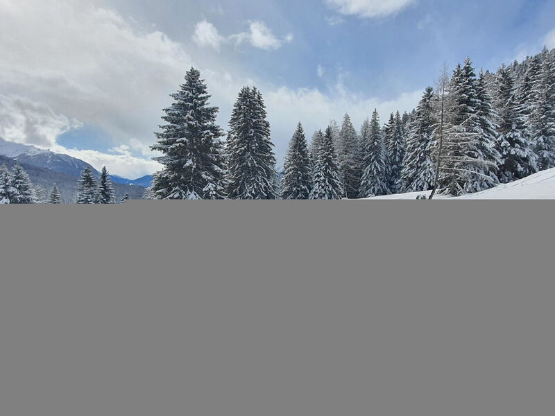 La Schmetta 65 Quadroni