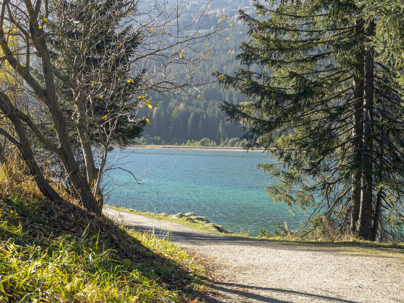 Fricktalerhuus Apt 6