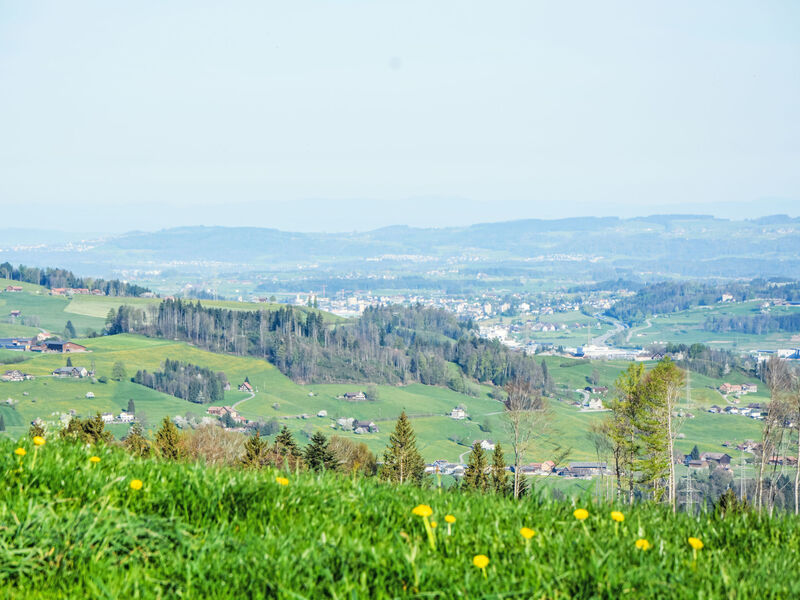 Alpsteinblick