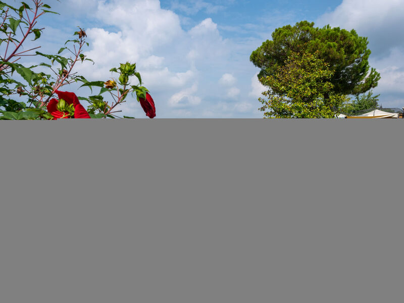 Agriturismo San Michele