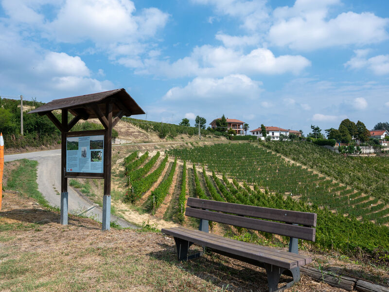 Agriturismo San Michele