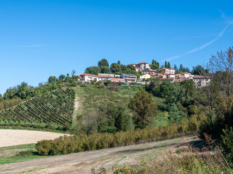 Tenuta Il Pozzo Fiorito
