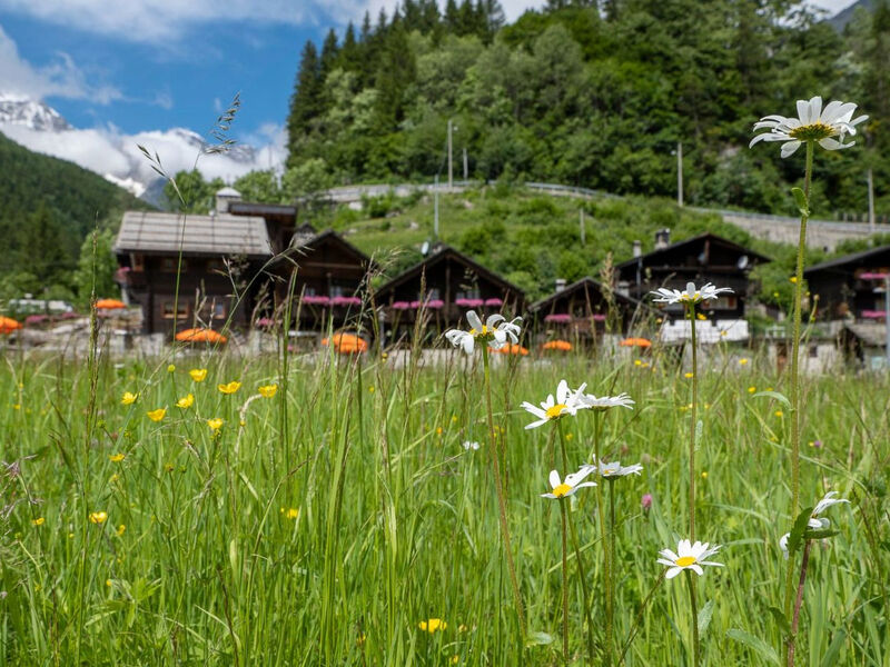 Chalet Borgo Walser Testa 9