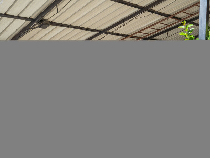 Rosa - Agriturismo Ca' Di Nonni