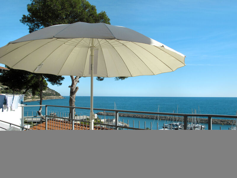 Passiflora - Baia Dei Gabbiani