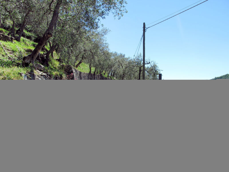 Adriana - Residenza Clara