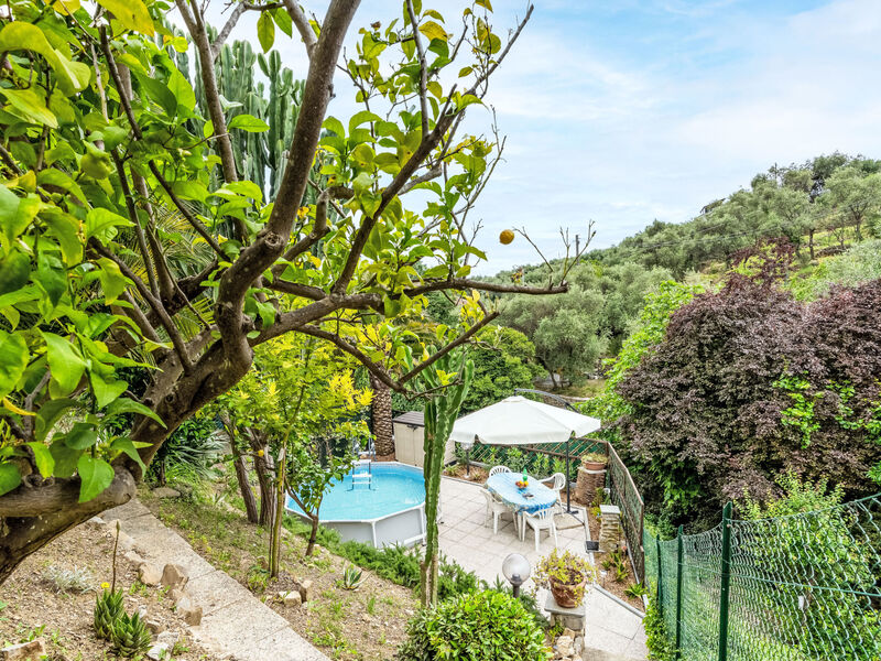 Paradiso tra gli Ulivi