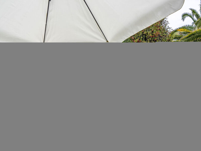 Paradiso tra gli Ulivi