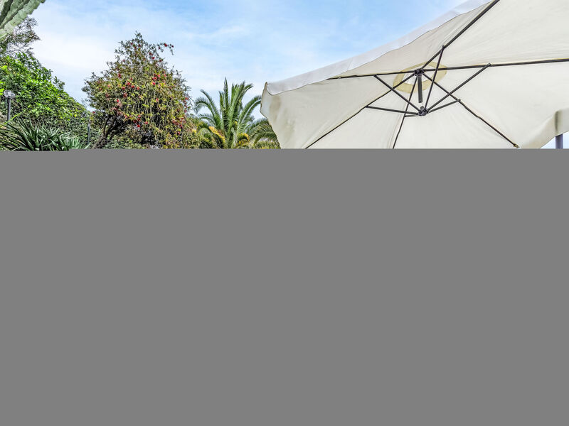 Paradiso tra gli Ulivi