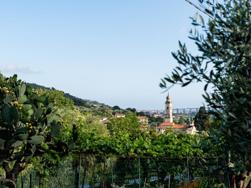La Bouganville - Rustico con giardino