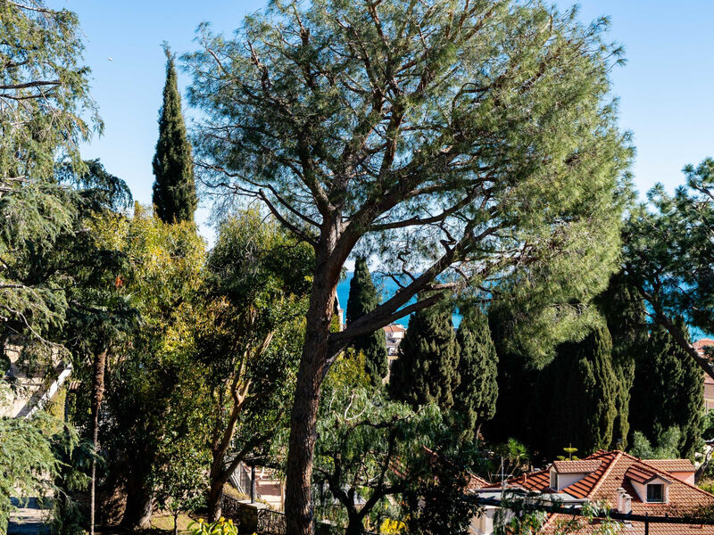 Orizzonte Blu Alassio