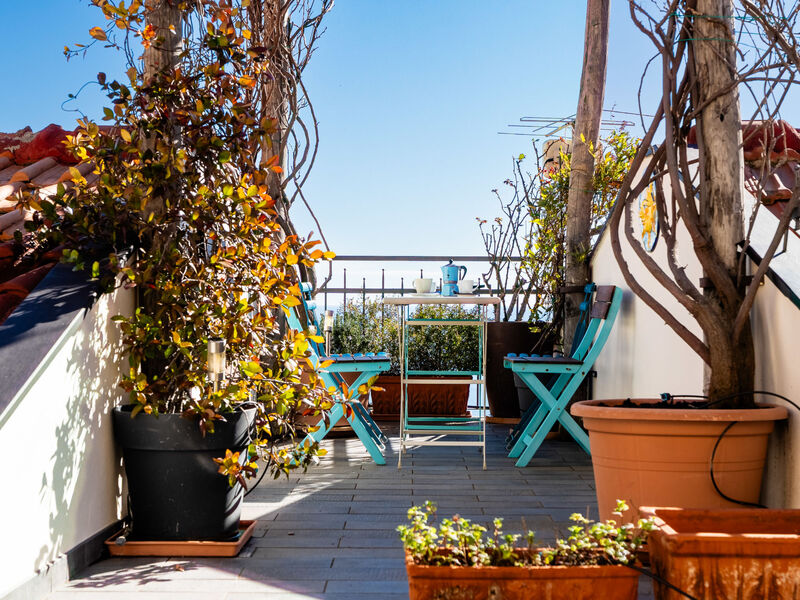 Terrazza con glicine