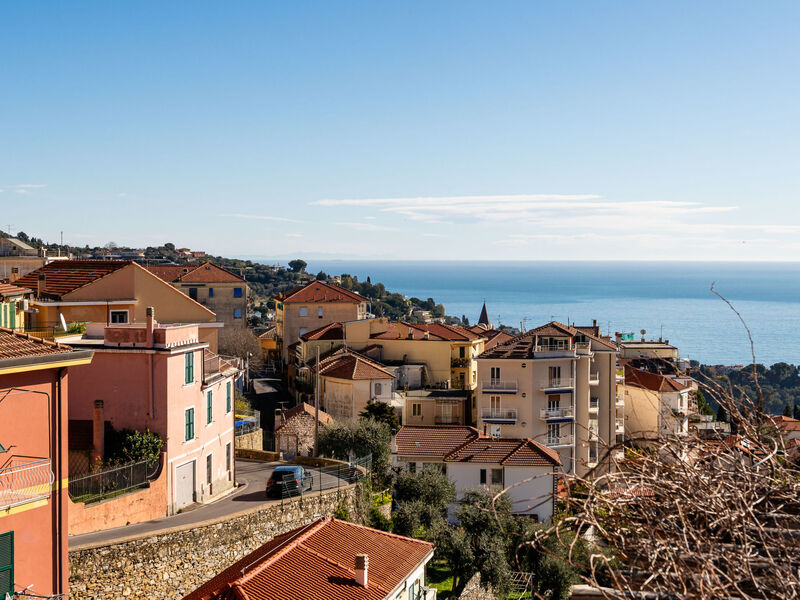 Terrazza con glicine