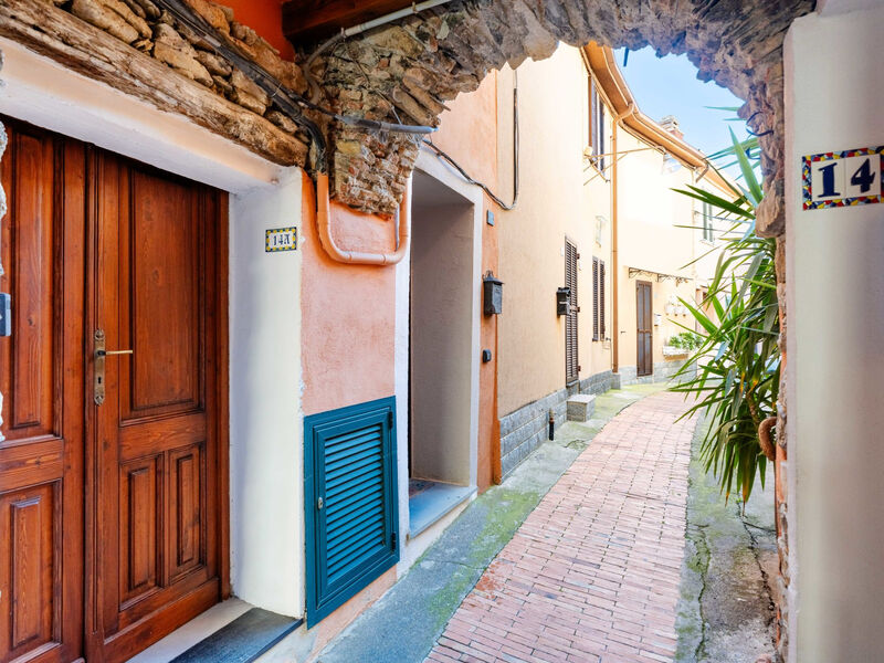 Terrazza con glicine