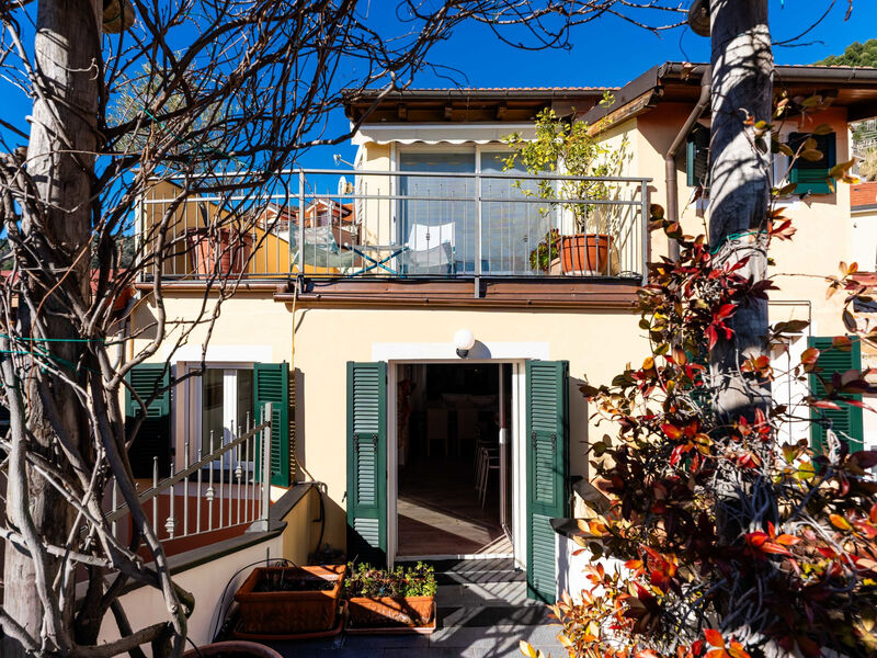 Terrazza con glicine