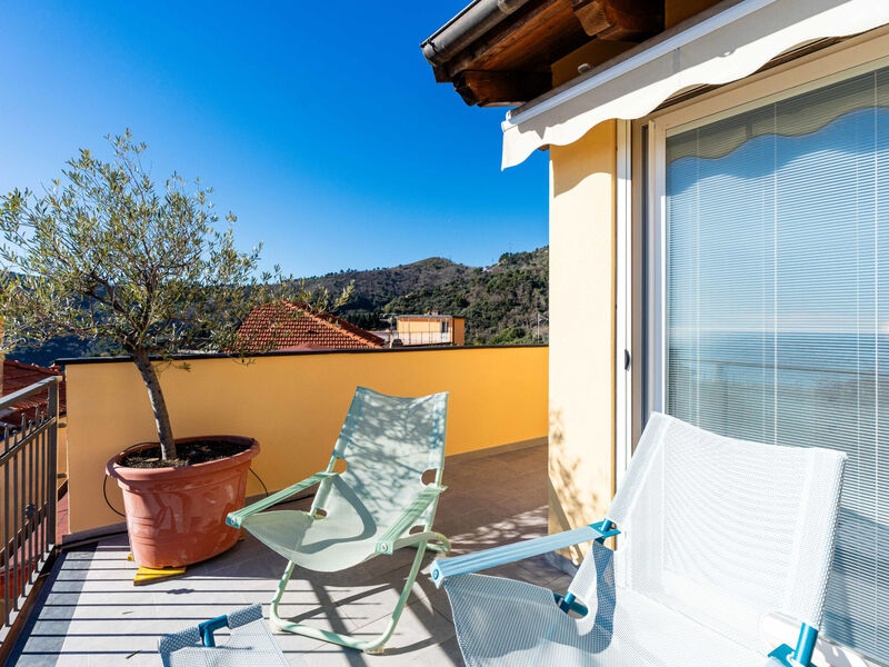 Terrazza con glicine