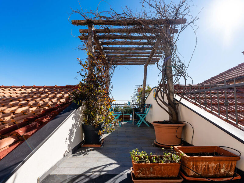 Terrazza con glicine