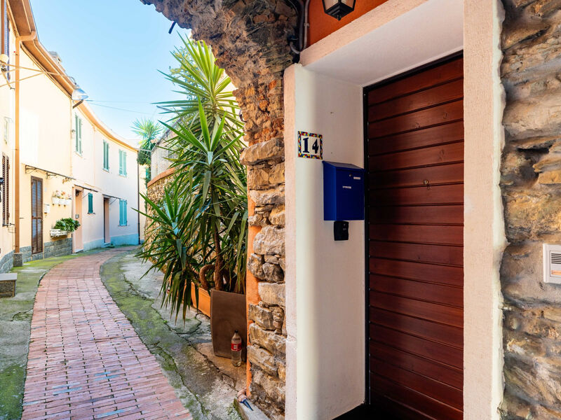 Terrazza con glicine