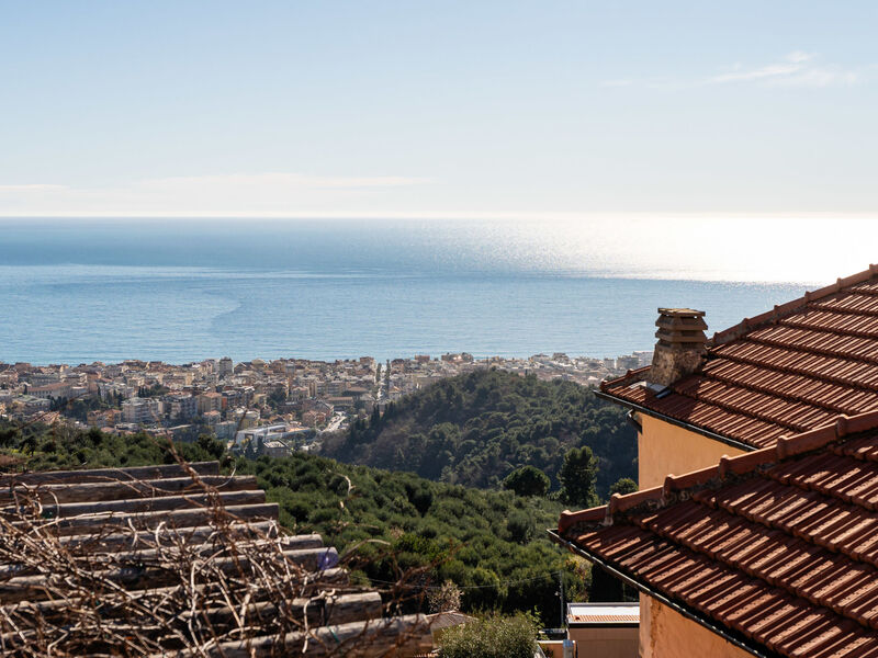 Terrazza con glicine