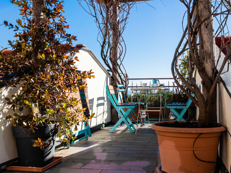 Terrazza con glicine