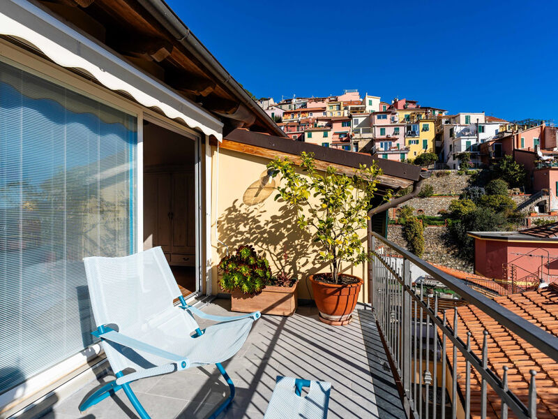 Terrazza con glicine