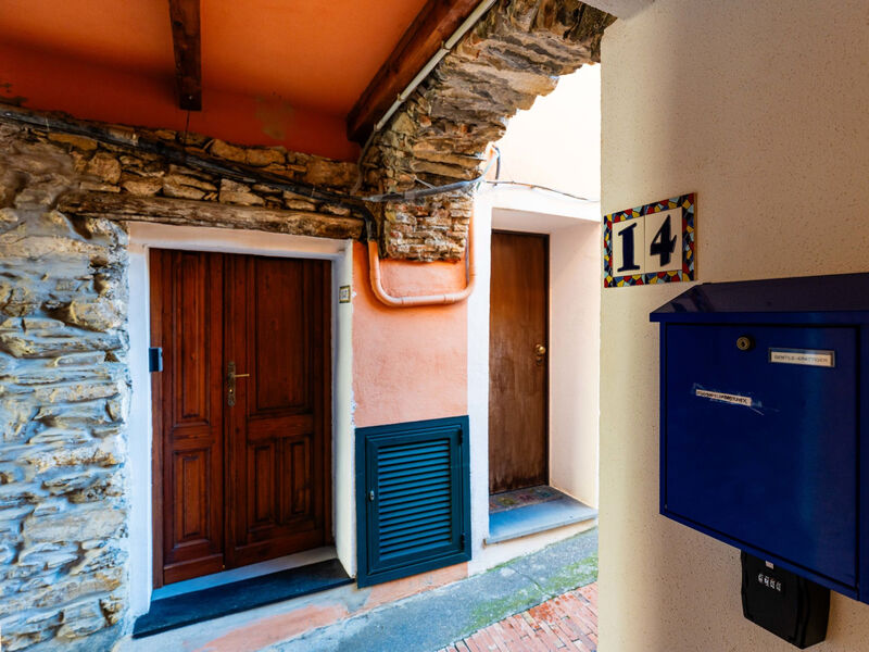 Terrazza con glicine