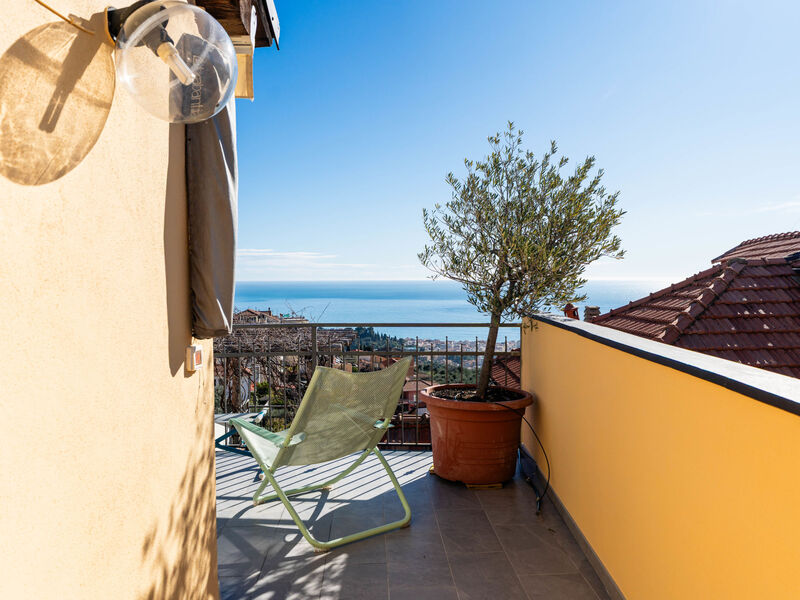 Terrazza con glicine