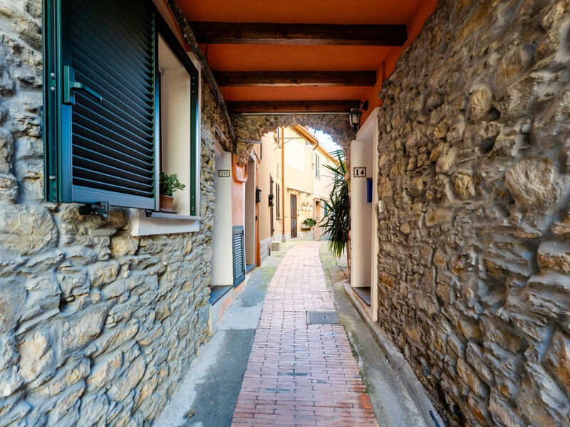 Terrazza con glicine