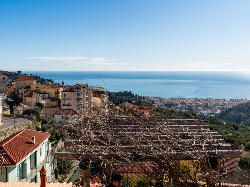 Terrazza con glicine
