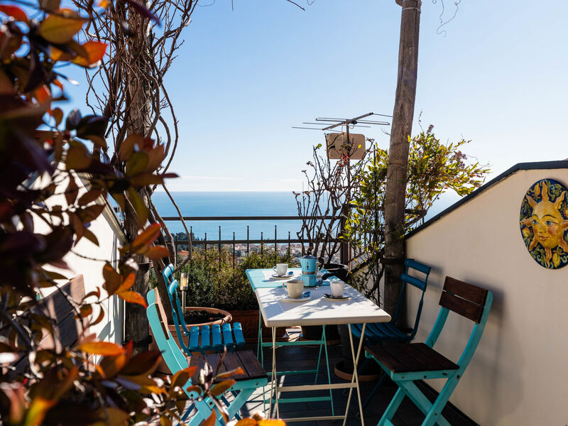 Terrazza con glicine