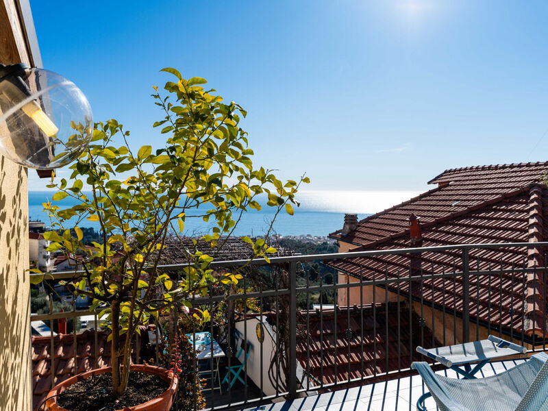 Terrazza con glicine