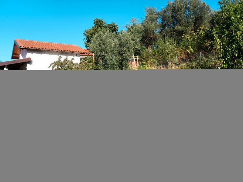 Olivo - Agriturismo La Crosa