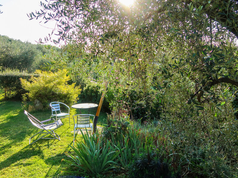 Olivo - Agriturismo La Crosa