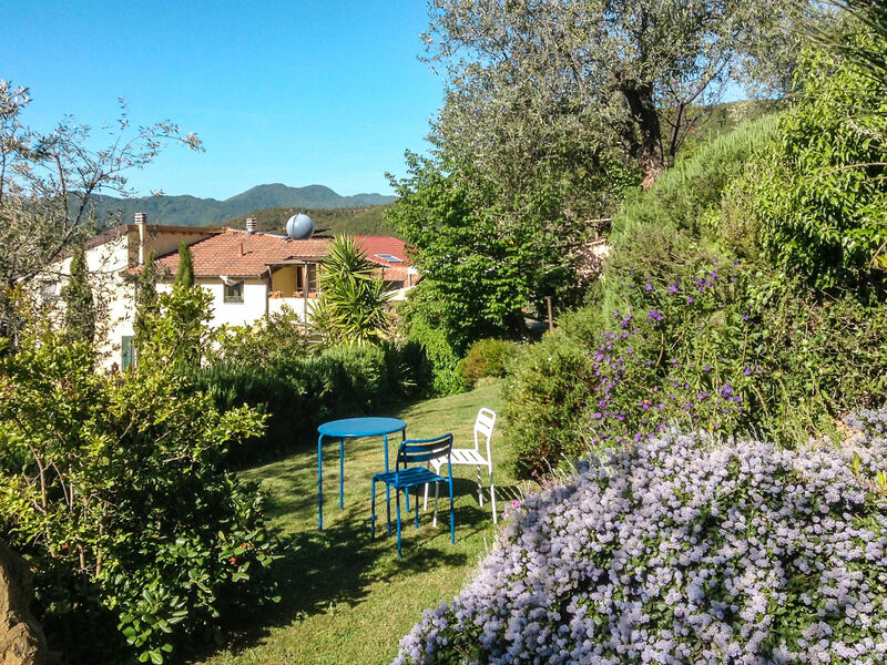 Olivo - Agriturismo La Crosa