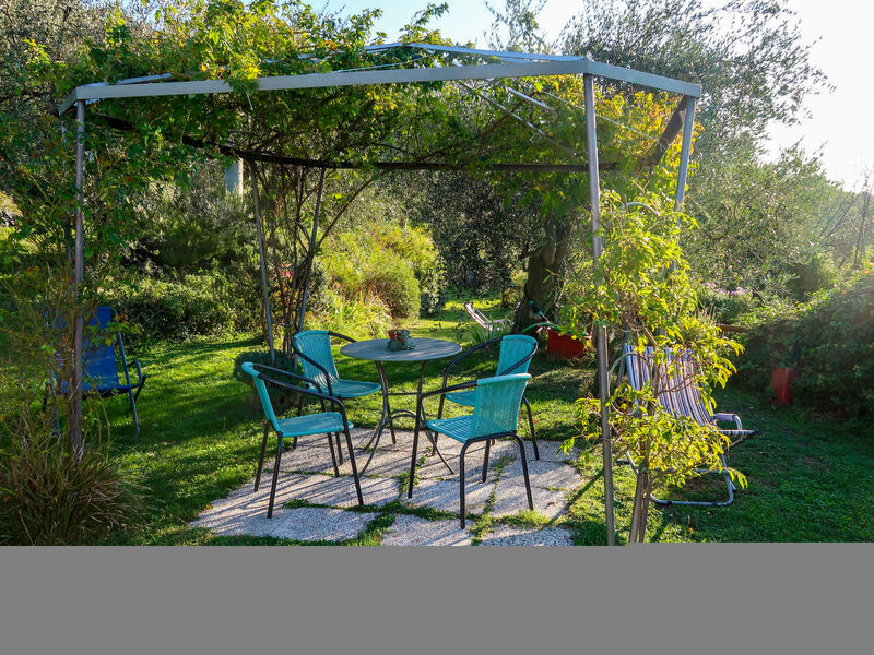 Olivo - Agriturismo La Crosa