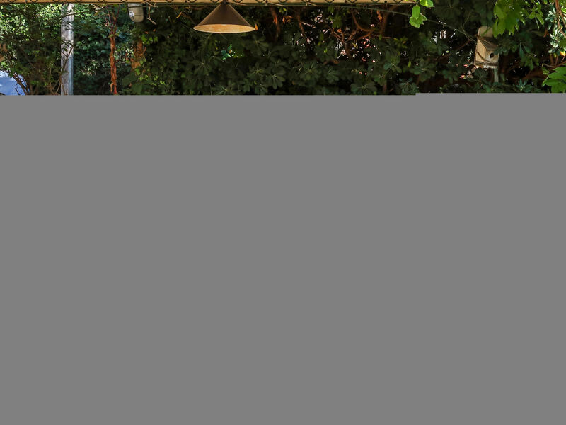 Olivo - Agriturismo La Crosa