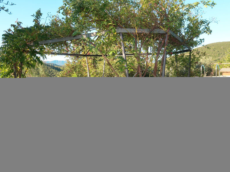 Olivo - Agriturismo La Crosa