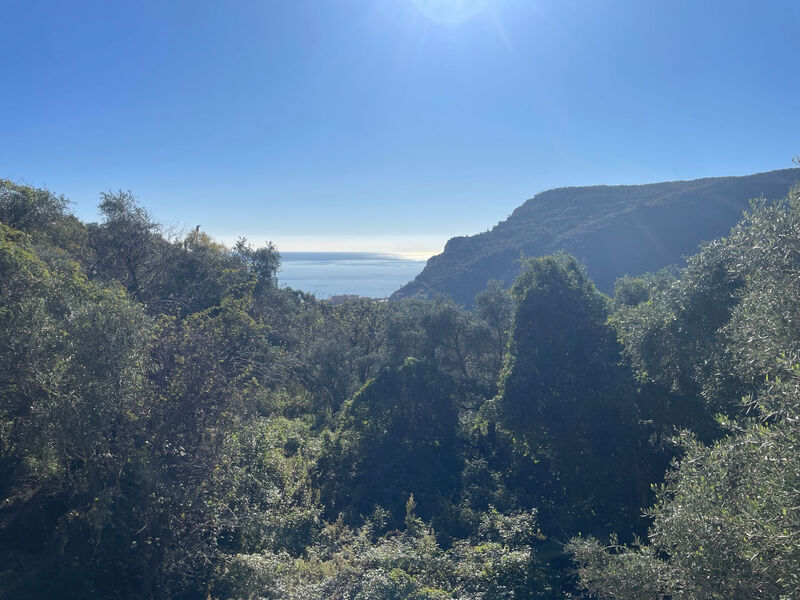 Casa Ninetta by Holiday World