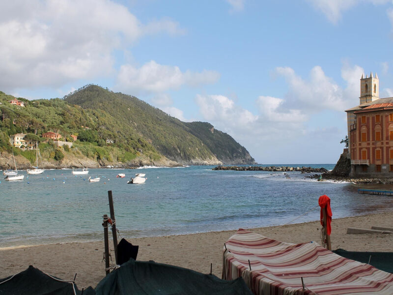 ILA3903 La Casa Del Merlo