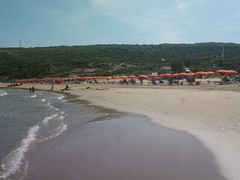 Drei-Zimmer-Wohnung im Erdgeschoss