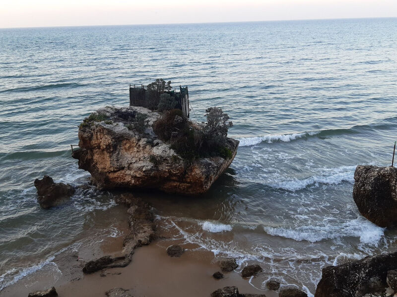 Drei-Zimmer-Wohnung im Erdgeschoss