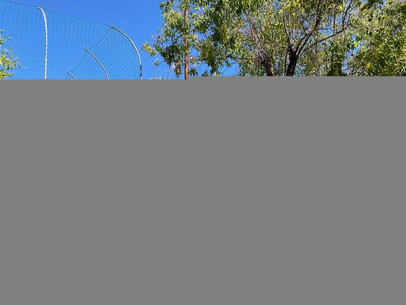 Happy Standard Extra Hillside