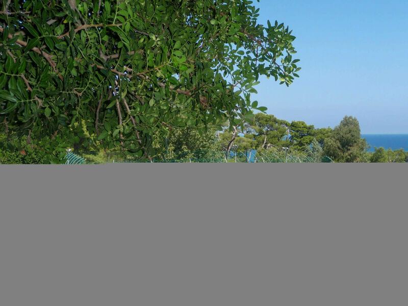 Internazionale Camping Village