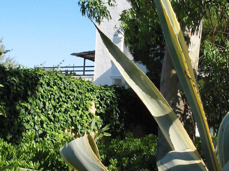Altes Bauernhaus im Grünen