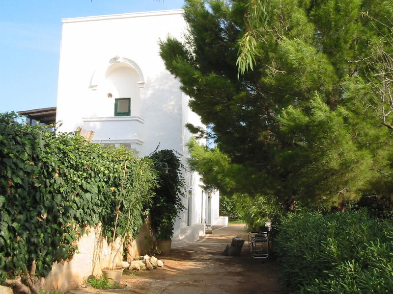 Altes Bauernhaus im Grünen