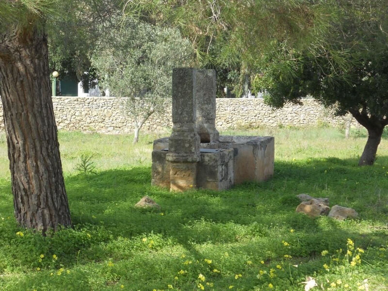 Altes Bauernhaus im Grünen