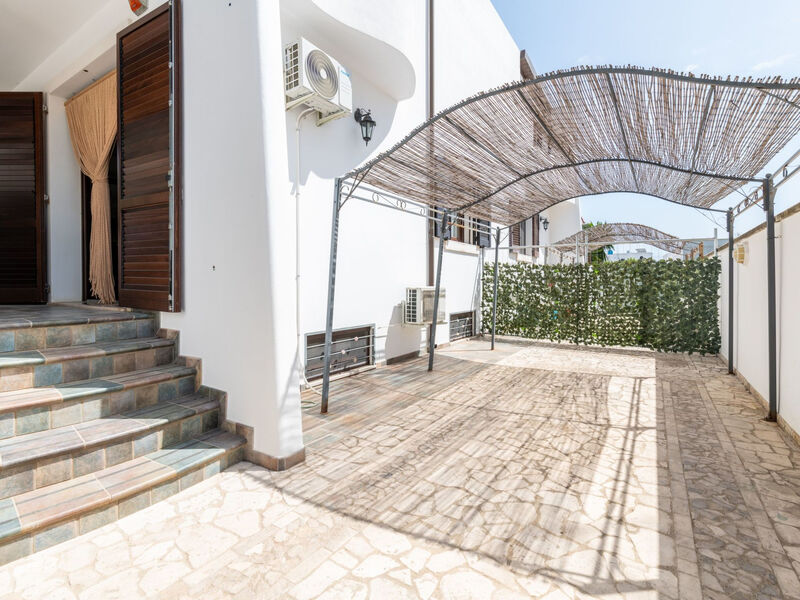 Der Meerblick von Viola