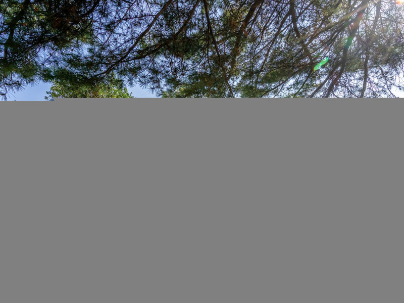 Residenza Agrifoglio