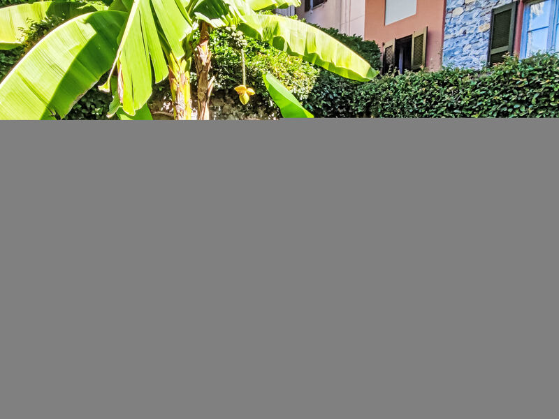 La tana del pescatore